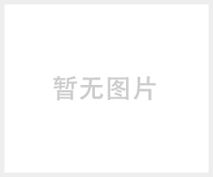 供应电动机 4极铝壳普通三相异步电动机 真誉电机